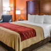 Отель Comfort Inn & Suites, фото 24