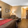 Отель Comfort Inn & Suites near Six Flags, фото 46
