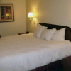 Отель Quality Inn & Suites, фото 4