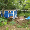 Отель Pilgrims Shepherd's Hut - Goosewell Glynn Glamping, фото 9