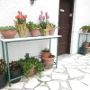Отель Apartments With Garden View Creta Ierapetra, фото 5