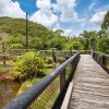 Отель Daintree Wild Zoo & B&B, фото 16