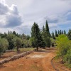 Отель Masseria Nova Isola Verde, фото 5