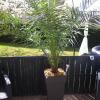 Отель Chambres d'Hotes Les Papillons, фото 29