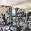 Отель Comfort Inn West, фото 15