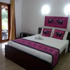 Отель ALIYA PINK France Guesthouse, фото 5