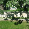 Отель Guesthouse Stančić, фото 1