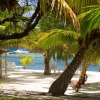 Отель White Sands Beach Resort Tonga, фото 24