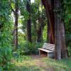 Отель SaffronStays Coorg Toddy Farms, Coorg, фото 12