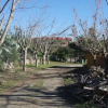 Отель Azienda Agrituristica Masseria I Risi, фото 26