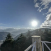 Отель Tarika Resort & Spa, Chail, фото 5