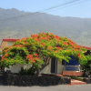 Отель Casa Rita 3, фото 10