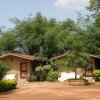 Отель Bandhavgarh Jungle Lodge, фото 17