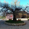 Отель Agriturismo La Rosa Montefalco, фото 17