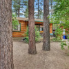 Отель Cozy Bear Cabin #2295, фото 12