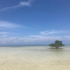Отель Twin Tides Panglao, фото 23