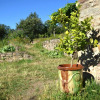 Отель Mas des Druilles, фото 14