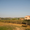 Отель Casa Girasole Agriturismo Le Selvole Tuscany, фото 22