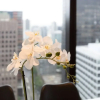 Отель Luxury 2bed2bath apt in the Heart of Mel@collins, фото 10