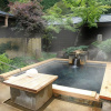 Отель Totsukawa Onsen Hotel Subaru, фото 14