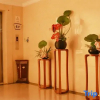 Отель Meiqiang Hotel, фото 7