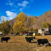 Отель 318 Car Camping (Kangding Xinduqiao), фото 7