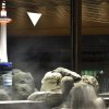 Отель Kyoto Hot Spring Hatoya Zuihokaku Hotel, фото 19