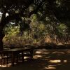 Отель Bagh Tola - Bandhavgarh, фото 8