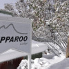 Отель Ripparoo Ski Lodge, фото 1