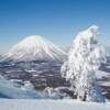 Отель the kamui niseko, фото 19