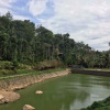 Отель Amaana Plantations Resort, фото 5