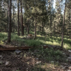 Отель Rock'inn Pines, фото 15