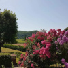 Отель Le Lys de Castelnaud, фото 20