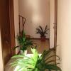 Гостиница Guest House Adenium, фото 15