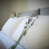 Отель Callisto Seaside Homes & Suites, фото 2
