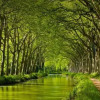Отель Gite La Chartreuse du Canal du Midi, фото 19