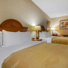 Отель Quality Inn & Suites, фото 4
