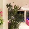 Отель Miami Spa and Wellness, фото 28