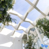 Отель Una Service Apartment - Fivesenses, фото 8