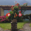 Отель The Hotel Alpina, фото 15