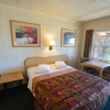 Отель Western Hills Motel, фото 3