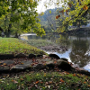 Отель Smoky Mountain River Retreat #318, фото 12