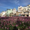 Отель Thanh Tin Hotel Dalat, фото 9