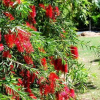 Отель The Winton Bed & Breakfast, фото 37