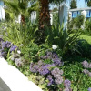 Отель The Mediterranean, фото 1