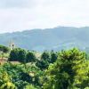 Отель Apartment With one Bedroom in Camaiore, With Wonderful Mountain View,, фото 19