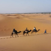 Отель Auberge L'oasis, фото 14
