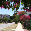 Отель Gran Terraza Mylena & Otto's apartment in Havana, фото 1