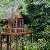 Отель Our Jungle Camp - Eco Resort, фото 27