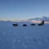 Отель Jotunheimen Husky Lodge, фото 5